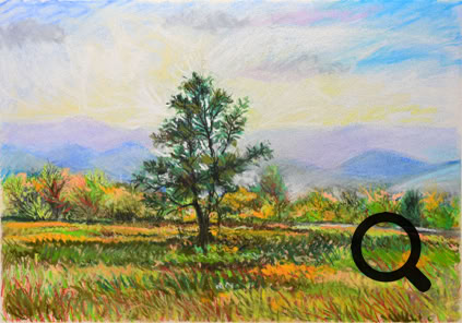 Tree at Big Meadow, Shenandoah National Park