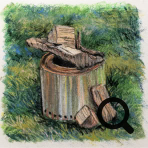Solo Stove Study