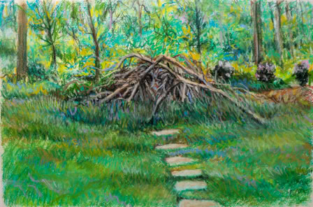 Backyard Woodpile