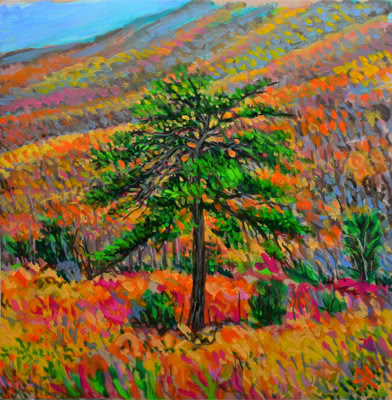 Tree Study, Blue Ridge Mountains