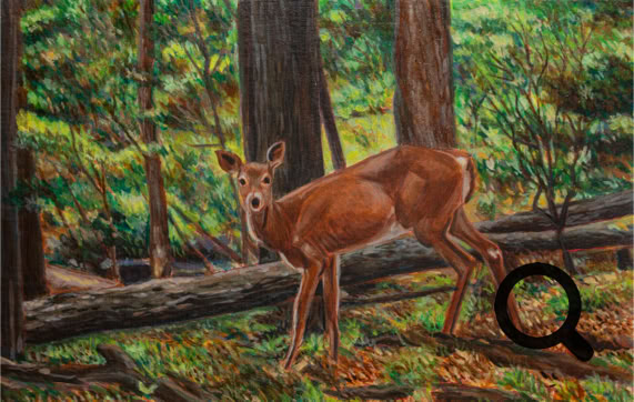 A Chance Encounter