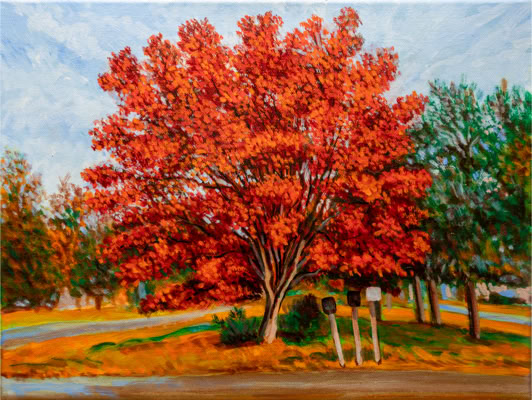 Three Mailboxes and Red Tree